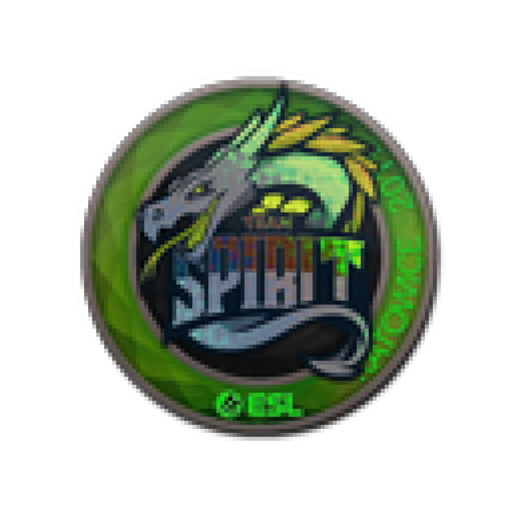 Зеленые наклейки кс го. Наклейки тим спирит КС го. Наклейка Team Spirit 2019. Spirit CS go наклейка. Зелёные Стикеры в КС го.