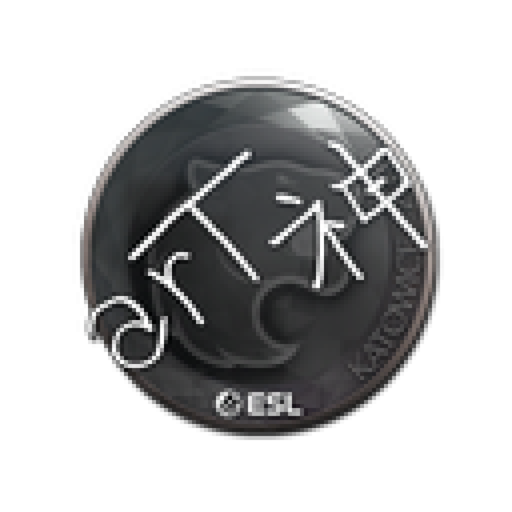 Dota wiki cs money фото 60