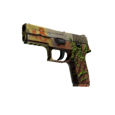 P250 | Inferno  (Minimal Wear)