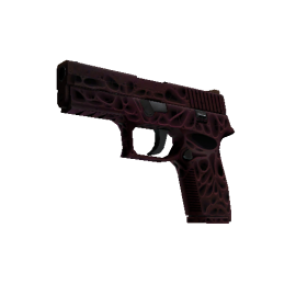 StatTrak™ P250 | Contaminant  (Minimal Wear)