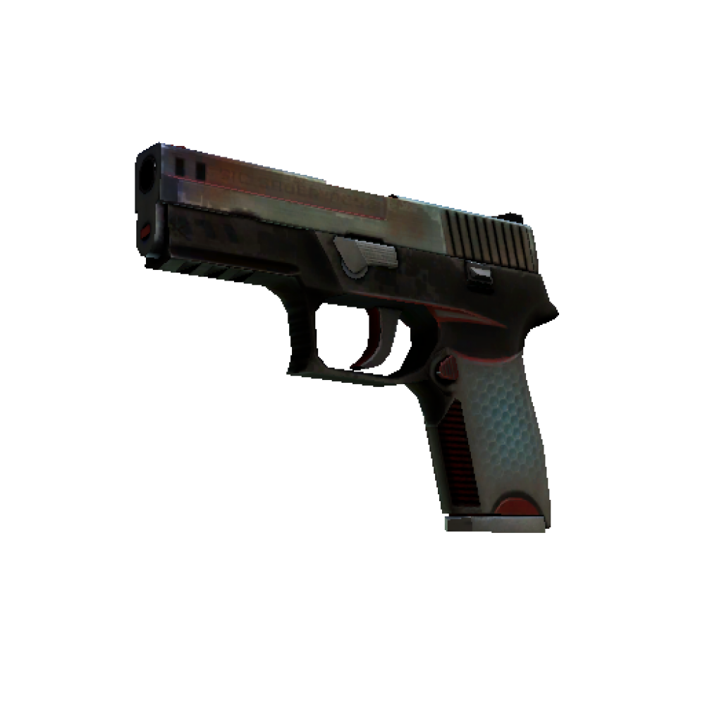 P250 | Cyber Shell  (Battle-Scarred)