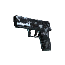 P250 | Steel Disruption  (Minimal Wear)