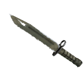 Bayonet | Safari Mesh  (Field-Tested)