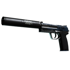 StatTrak™ USP-S | Guardian  (Field-Tested)